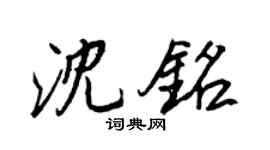 王正良沈铭行书个性签名怎么写