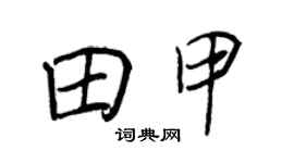 王正良田甲行书个性签名怎么写