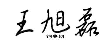 王正良王旭磊行书个性签名怎么写