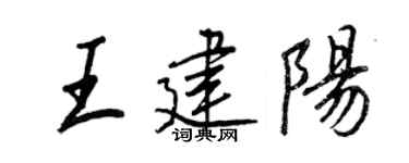 王正良王建阳行书个性签名怎么写