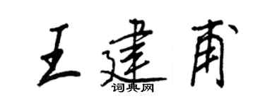 王正良王建甫行书个性签名怎么写