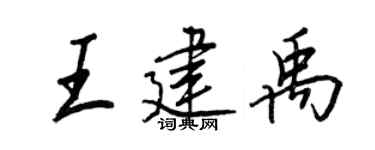 王正良王建禹行书个性签名怎么写