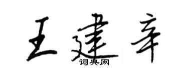 王正良王建辛行书个性签名怎么写