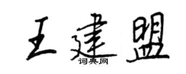 王正良王建盟行书个性签名怎么写