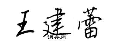 王正良王建蕾行书个性签名怎么写