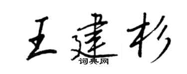 王正良王建杉行书个性签名怎么写