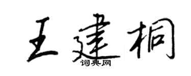 王正良王建桐行书个性签名怎么写