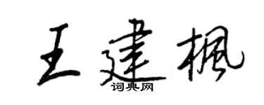 王正良王建枫行书个性签名怎么写