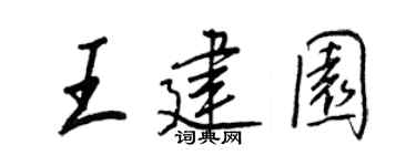 王正良王建园行书个性签名怎么写