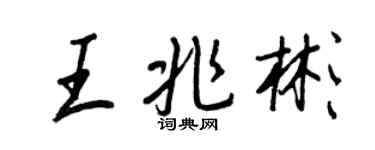 王正良王兆彬行书个性签名怎么写