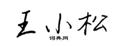 王正良王小松行书个性签名怎么写