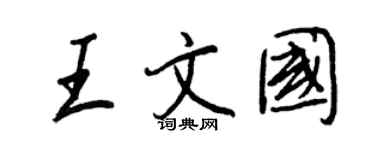 王正良王文国行书个性签名怎么写