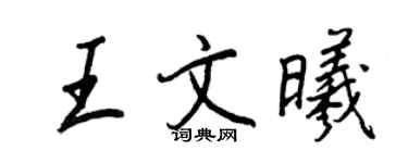 王正良王文曦行书个性签名怎么写