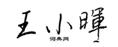 王正良王小晖行书个性签名怎么写