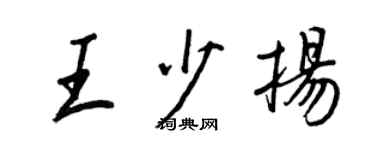 王正良王少扬行书个性签名怎么写