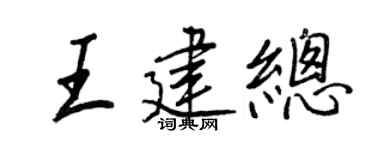 王正良王建总行书个性签名怎么写