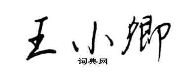 王正良王小卿行书个性签名怎么写