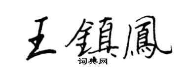 王正良王镇凤行书个性签名怎么写