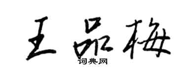 王正良王品梅行书个性签名怎么写