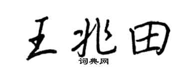 王正良王兆田行书个性签名怎么写