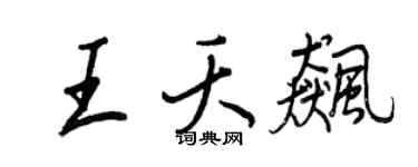 王正良王夭飚行书个性签名怎么写