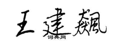 王正良王建飚行书个性签名怎么写