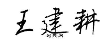 王正良王建耕行书个性签名怎么写