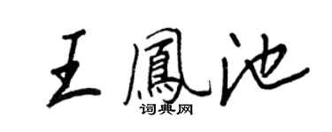 王正良王凤池行书个性签名怎么写