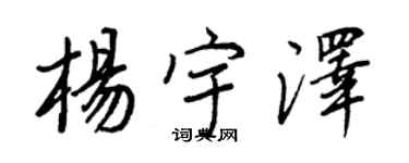 王正良杨宇泽行书个性签名怎么写