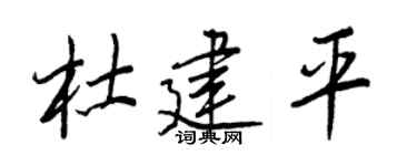 王正良杜建平行书个性签名怎么写