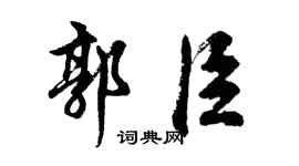 胡问遂郭臣行书个性签名怎么写