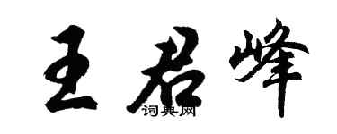 胡问遂王君峰行书个性签名怎么写