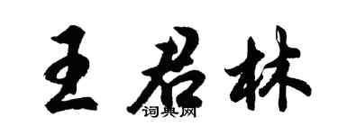 胡问遂王君林行书个性签名怎么写