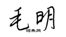 王正良毛明行书个性签名怎么写