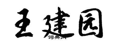 胡问遂王建园行书个性签名怎么写