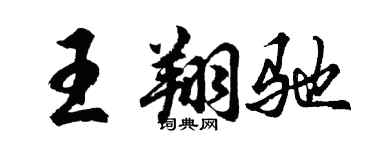 胡问遂王翔驰行书个性签名怎么写