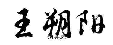 胡问遂王朔阳行书个性签名怎么写