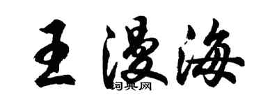 胡问遂王漫海行书个性签名怎么写