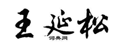 胡问遂王延松行书个性签名怎么写