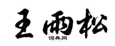 胡问遂王雨松行书个性签名怎么写