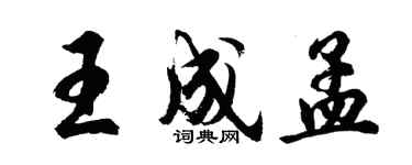 胡问遂王成孟行书个性签名怎么写