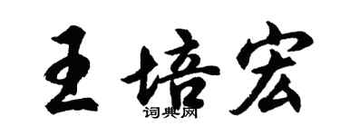 胡问遂王培宏行书个性签名怎么写