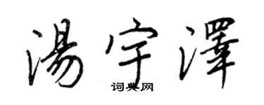 王正良汤宇泽行书个性签名怎么写