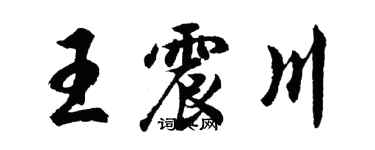 胡问遂王震川行书个性签名怎么写