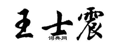 胡问遂王士震行书个性签名怎么写