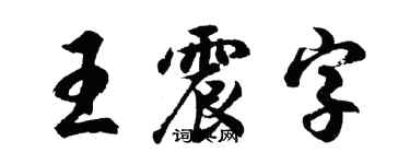 胡问遂王震字行书个性签名怎么写