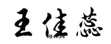 胡问遂王佳蕊行书个性签名怎么写