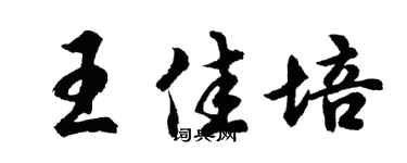 胡问遂王佳培行书个性签名怎么写