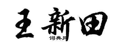 胡问遂王新田行书个性签名怎么写