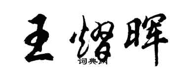 胡问遂王熠晖行书个性签名怎么写